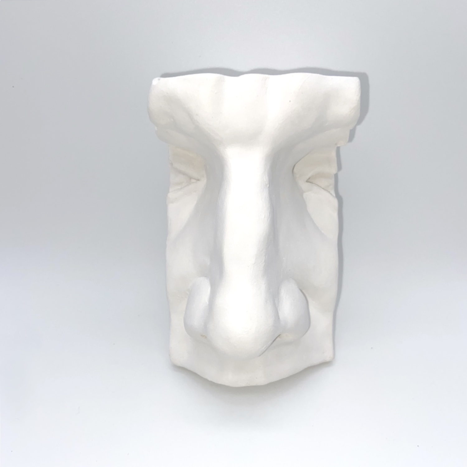 Nose model